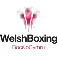 WELSH AMATEUR BOXING ASSOCIATION LIMITED Logo