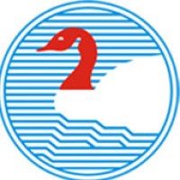 New Swan Group Logo