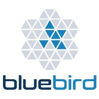 Bluebird - SAP S/4 Migration Experts Logo
