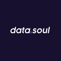 Data Soul Logo