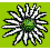 Design By Nature (Ireland) see www wildflowers.ie Logo