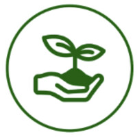 Pachira Logo