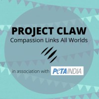 Project CLAW Logo
