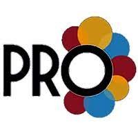 PRO Desarrollo Paraguay Logo