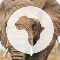 Go2Africa Logo