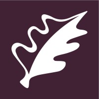 The International Logo