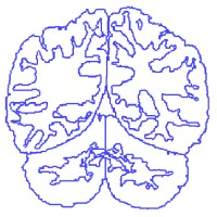Neuromorphometrics, Inc. Logo