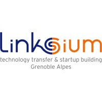 Linksium Projets Logo