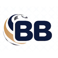 Blueberry Group - Believe | Inspire | Value Logo