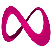 Norzex Logo