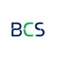 Business Consulting Services MS Logo