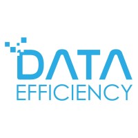 Data Efficiency Logo