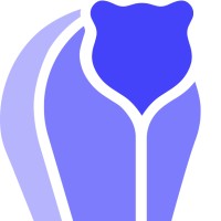 BerFin Advisory Logo