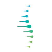 Spine Consulting Logo