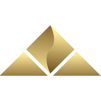 Immerse Growth Network Logo