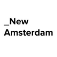 The New Amsterdam Group LLC Logo