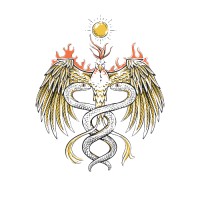 Freedom Rising Media Logo