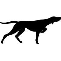Bird Dog Digital, LLC Logo