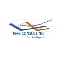 NVG CONSULTING Logo