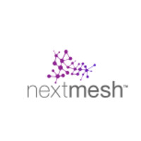 NextMesh.io Logo