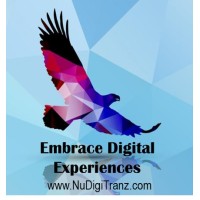 Nudigitranz India Pvt Ltd Logo