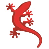 Faderi Belgium nv Logo