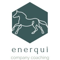 Enerqui Logo