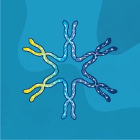 Team Telomere Logo