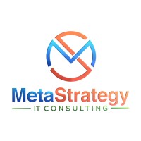 MetaStrategy IT Consulting Logo