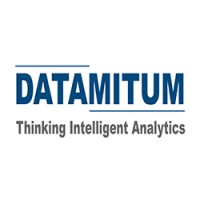 Datamitum Logo