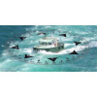 Compass Adjuster Logo