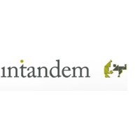 Intandem Logo