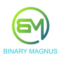 BinaryMagnus Solutions Pvt Ltd Logo