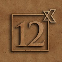Twelve Times (Worldwide) Pty Ltd Logo