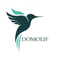 DomoLif Logo