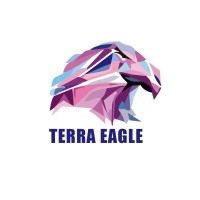 TerraEagle Logo