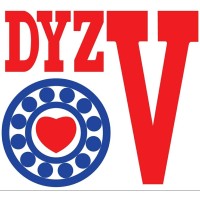 DYZV Bearings India Solutions Logo