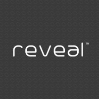 Reveal Lasers North America Logo