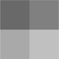 GrayCode Analytics Logo