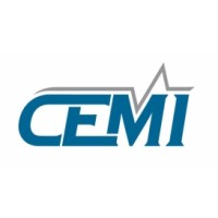 Central European Management Intelligence Logo