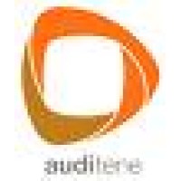 Auditene Logo