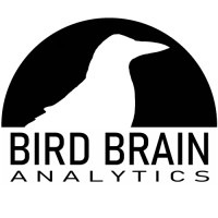 Bird Brain Analytics Logo