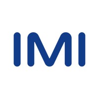 IMI Logo