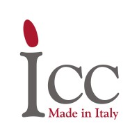ICC srl Logo