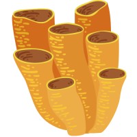 Ocean Floor Crypto Fund Logo