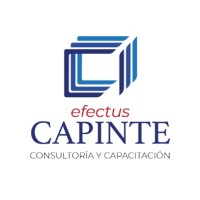 EFECTUS Training and Consulting (Mexico) Logo
