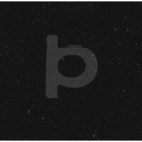 Bad Platypus Logo