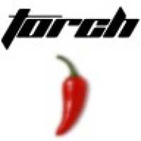 Torch Companies Logo