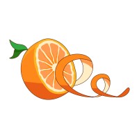 O Bagaço da Laranja Logo