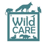 WildCare Inc Logo